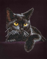 Diamond Dotz Midnight Cat Diamond Dotz Midnight Cat