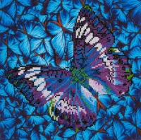 Diamond Dotz Flutter by mauve Diamond Dotz Flutter by mauve
