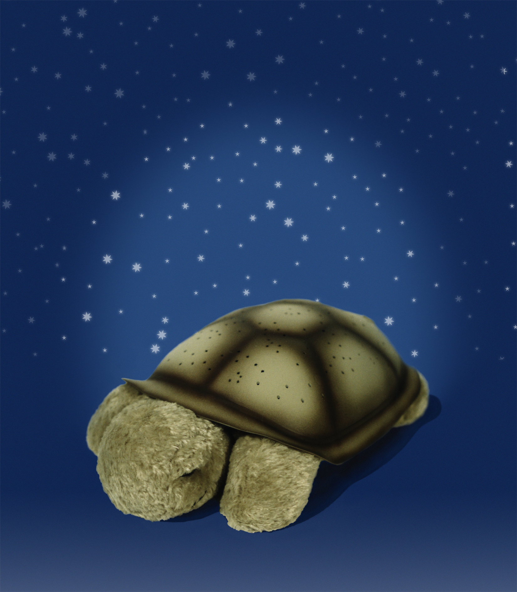 Hvězdná Želvička -Mocha Classic (Twilight Turtle) - Kliknutím na obrázek zavřete