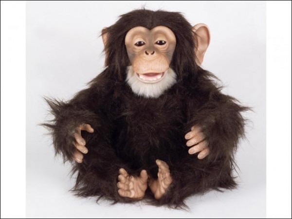 FurReal Friends Šimpanz - Kliknutím na obrázek zavřete