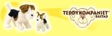 Teddykompanied